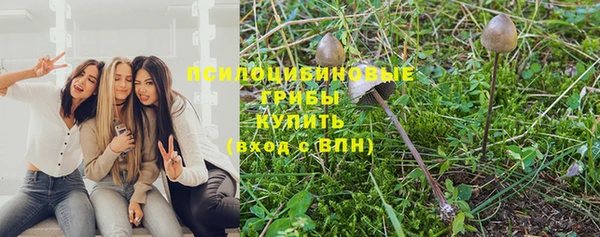 первитин Алексеевка