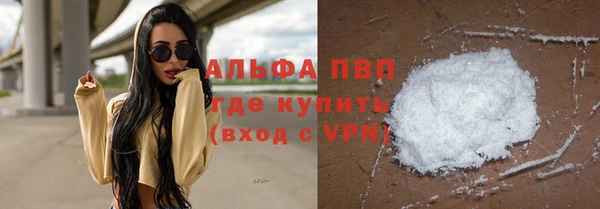 PSILOCYBIN Покров