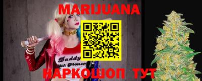 сатива Новозыбков