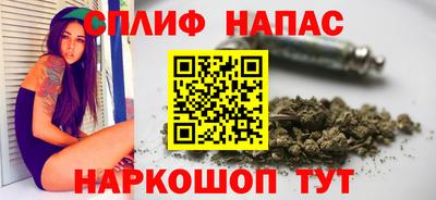 тгк Новодвинск