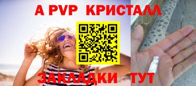 сатива Новозыбков