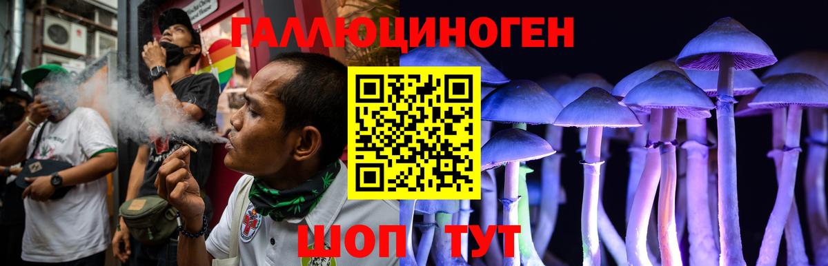 Родники  Галлюциногенные грибы MAGIC MUSHROOMS  Псилоцибиновые грибы GOLDEN TEACHER  Вход с VPN 